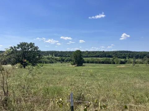 Working Cattle Ranch