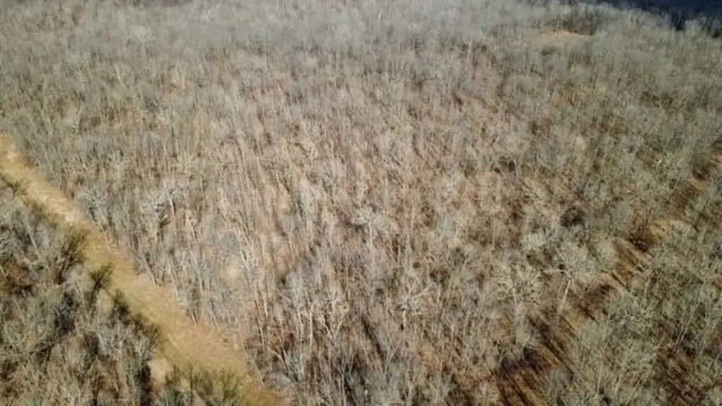 Picture 15
