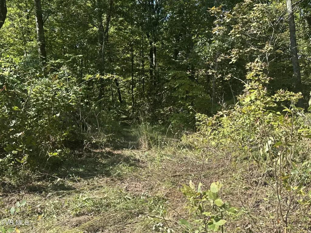 Picture 42