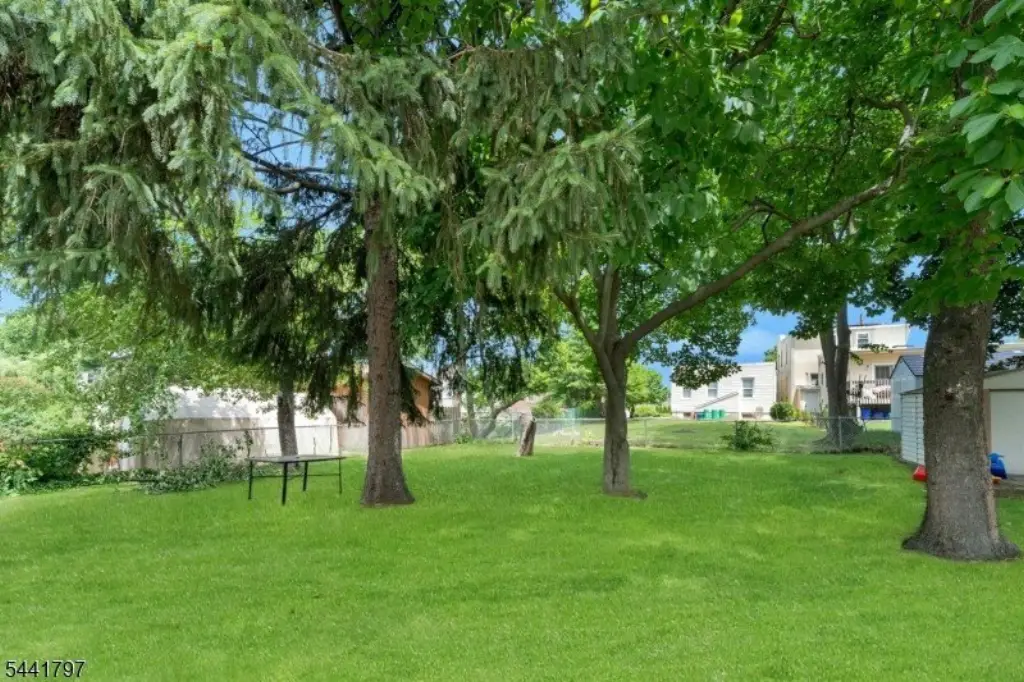 Picture 16