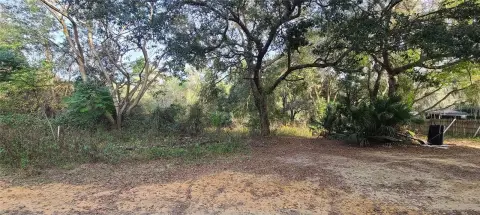 Residential Land in Umatilla, FL