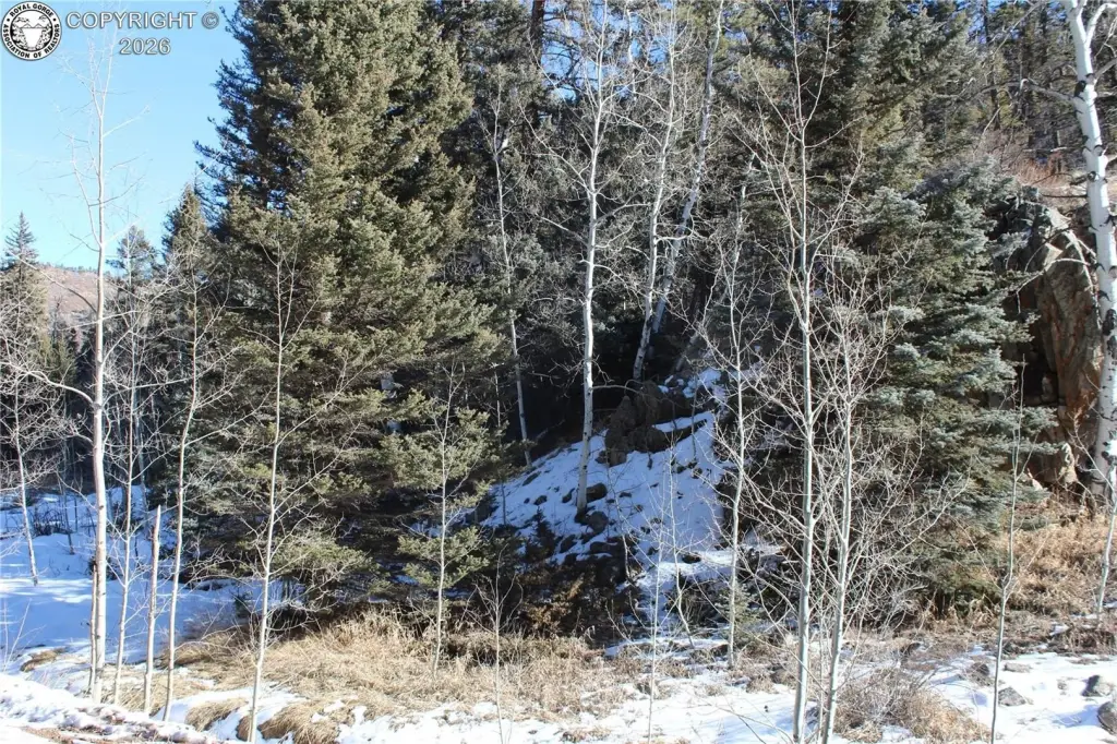 Picture 36