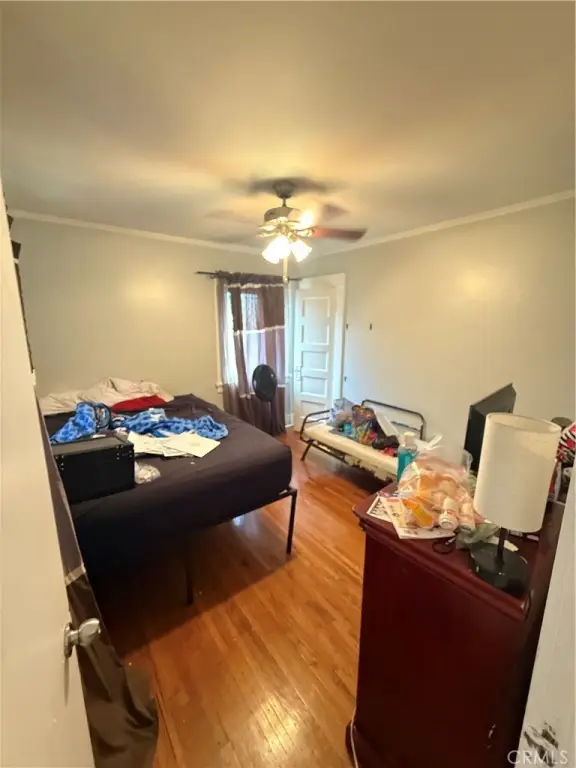 Picture 12