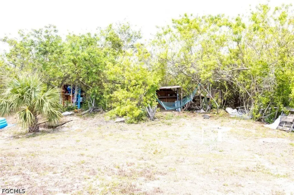 Picture 29