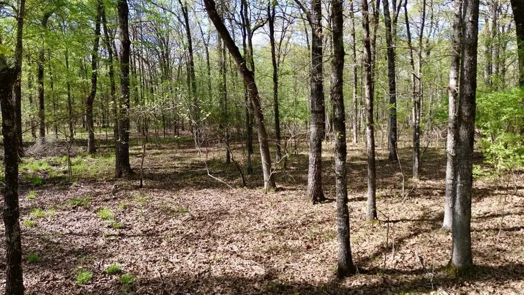 Picture 9