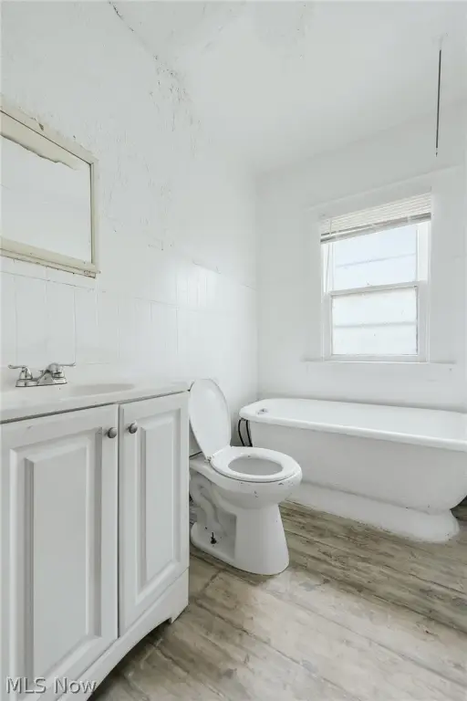Picture 16