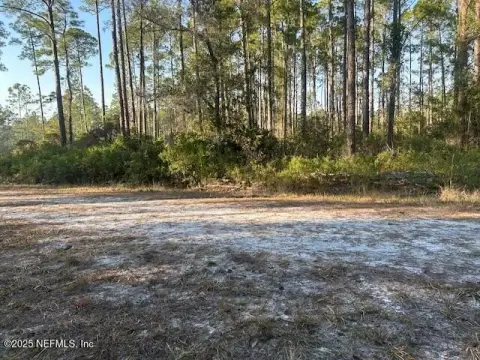 Georgetown, FL Wooded Lot