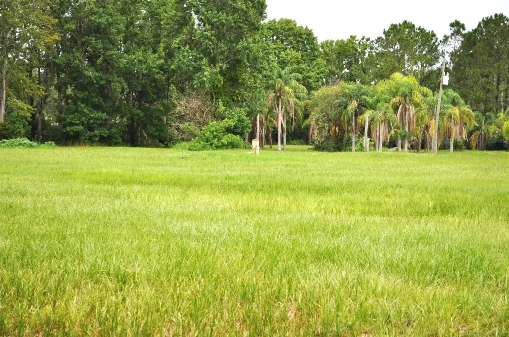 Picture 20
