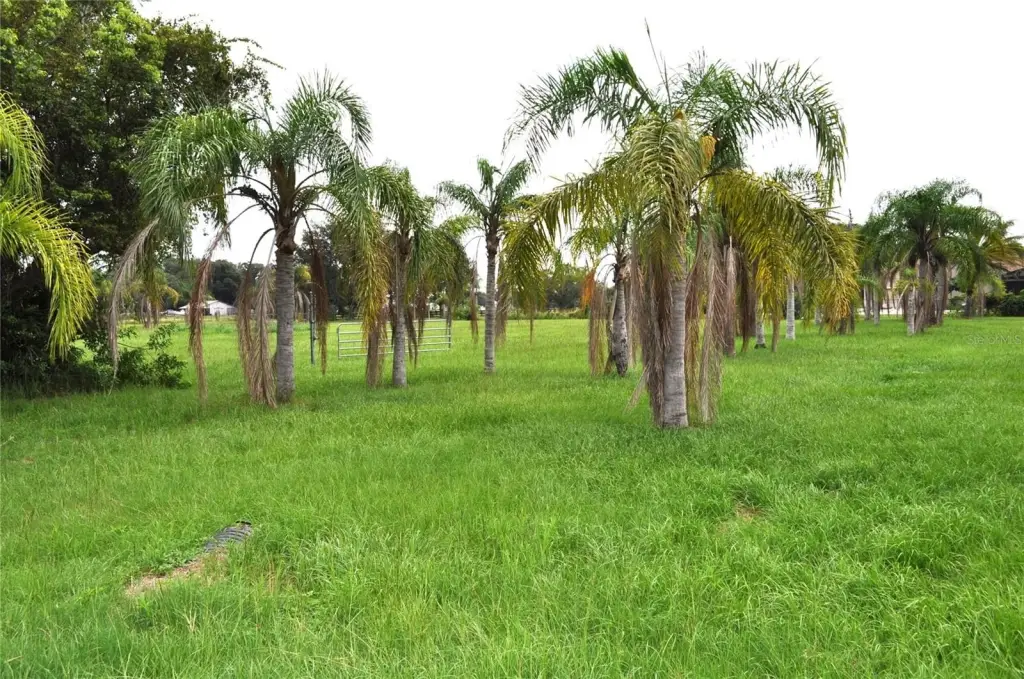 Picture 15