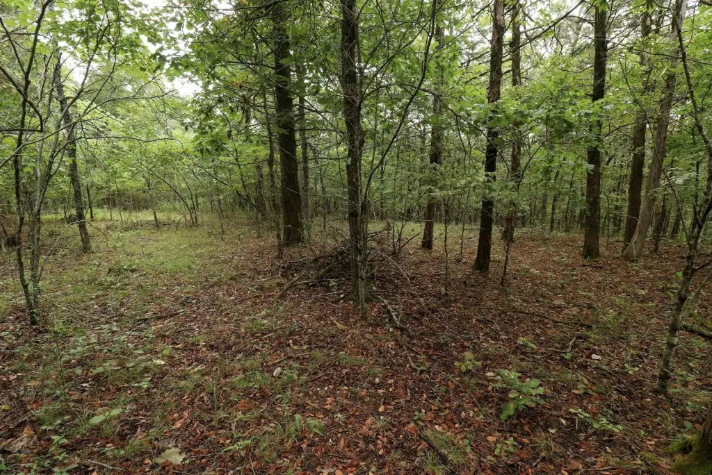 Picture 41