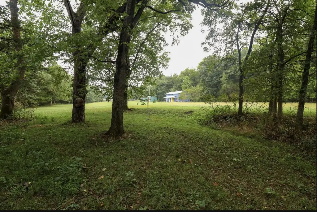 Picture 25