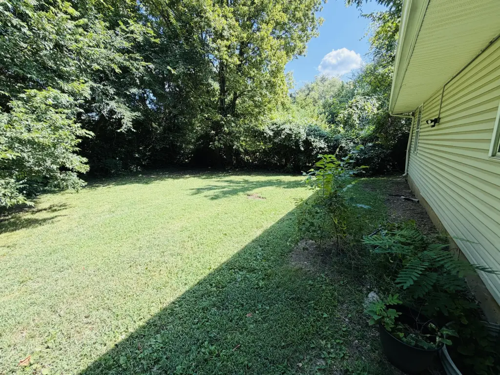 Picture 24