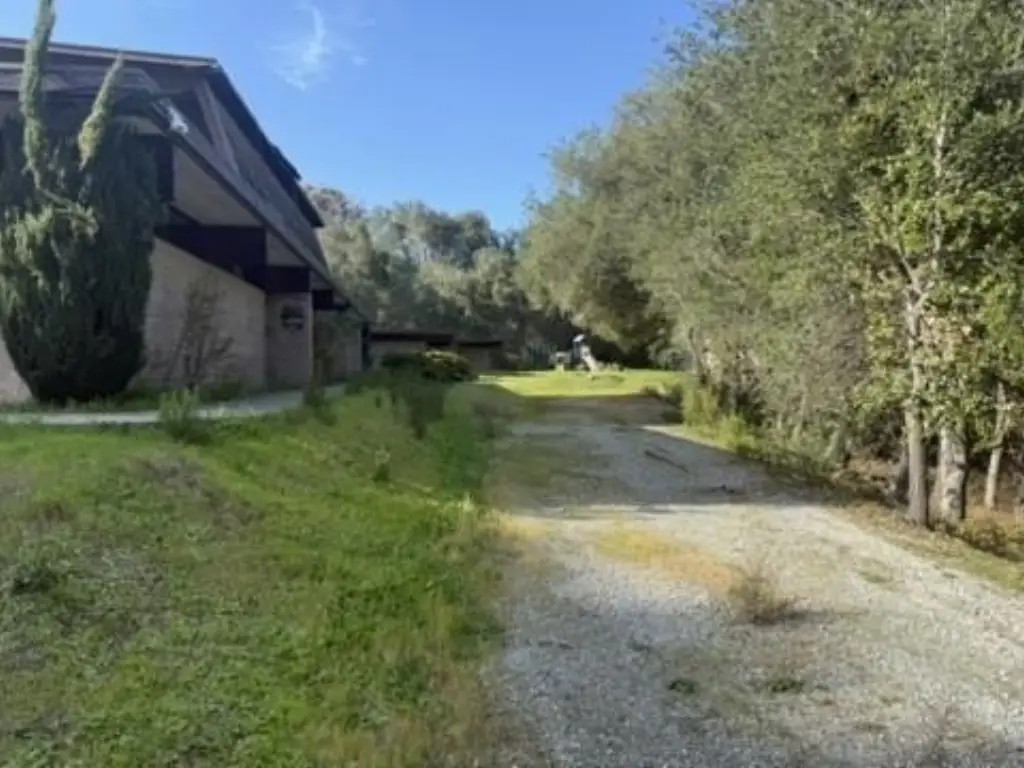 Picture 15
