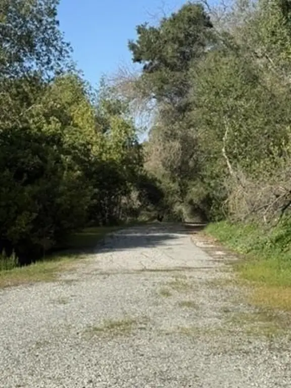 Picture 28