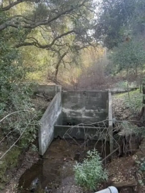 Picture 39