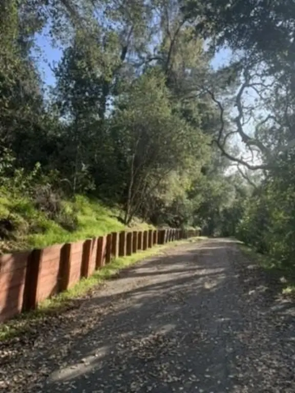 Picture 38