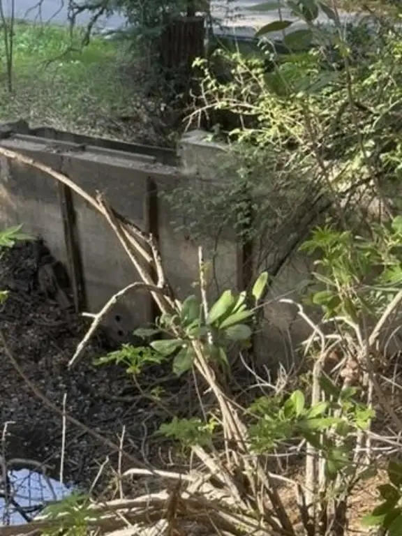 Picture 35