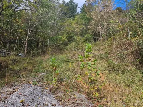 Recreation Land with ATV Trail