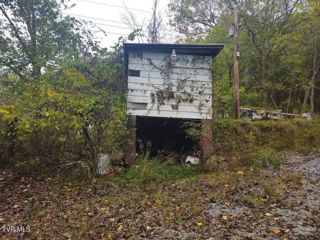 Picture 5