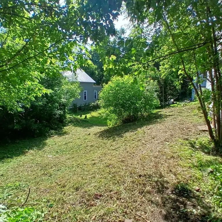 Picture 4