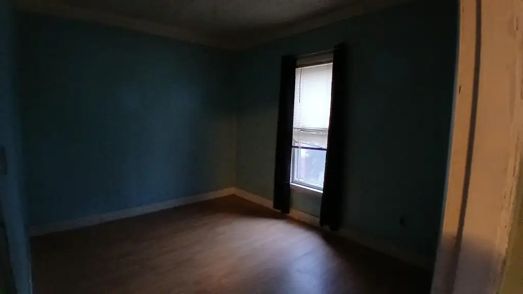 Picture 11