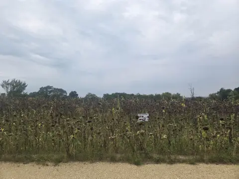 Mineral Point Land For Sale