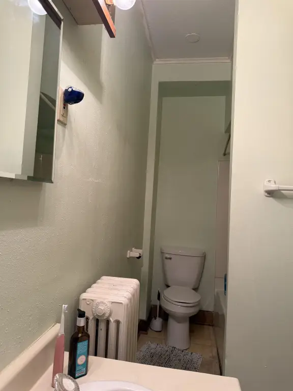 Picture 16