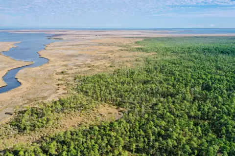 Vast Waterfront Timber Hunting Tract