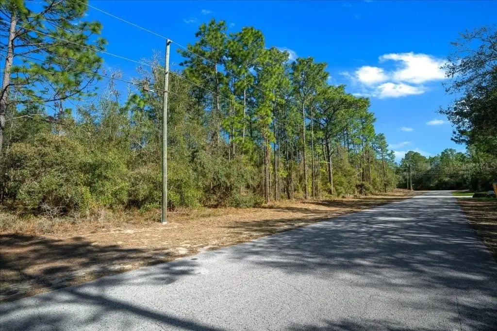 Picture 21