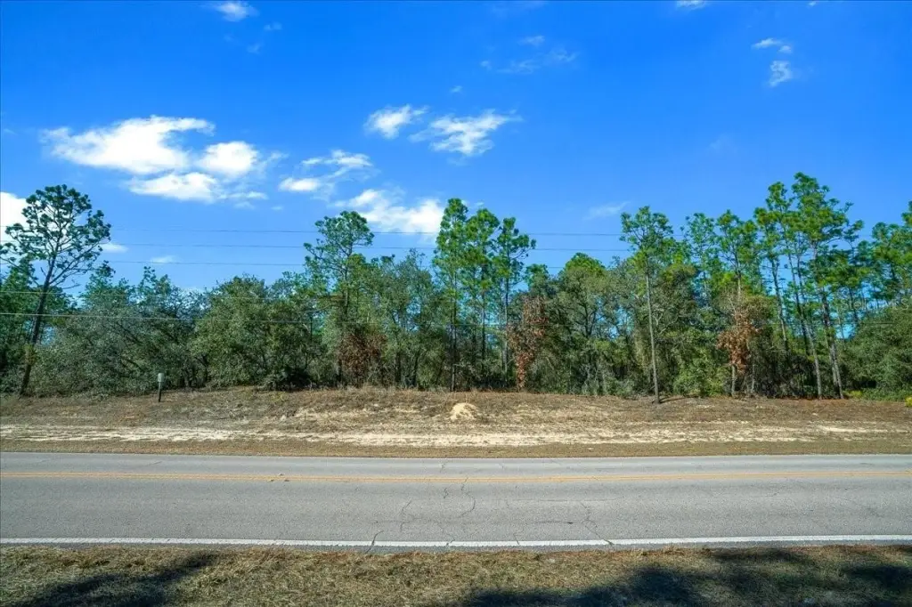 Picture 17