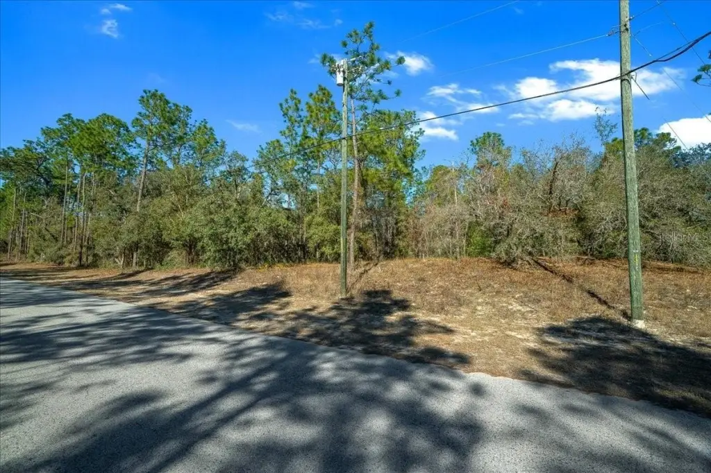 Picture 20