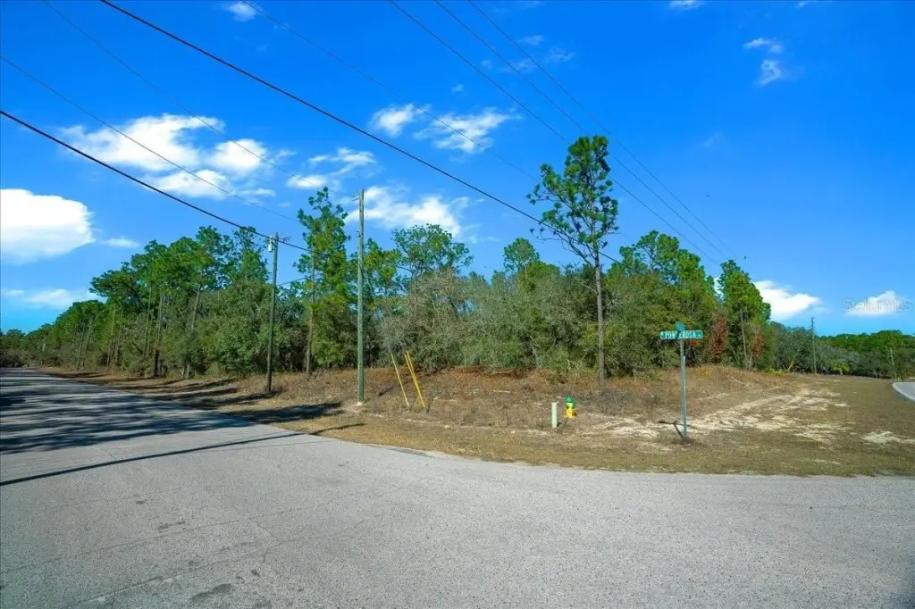 Picture 16