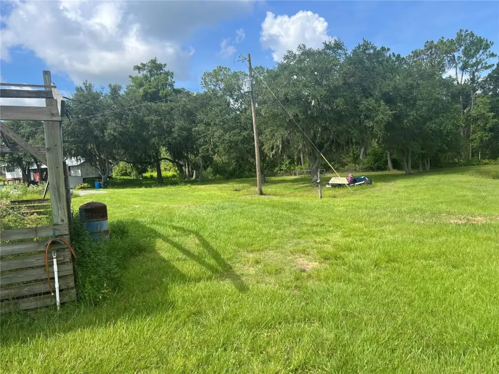 Picture 25