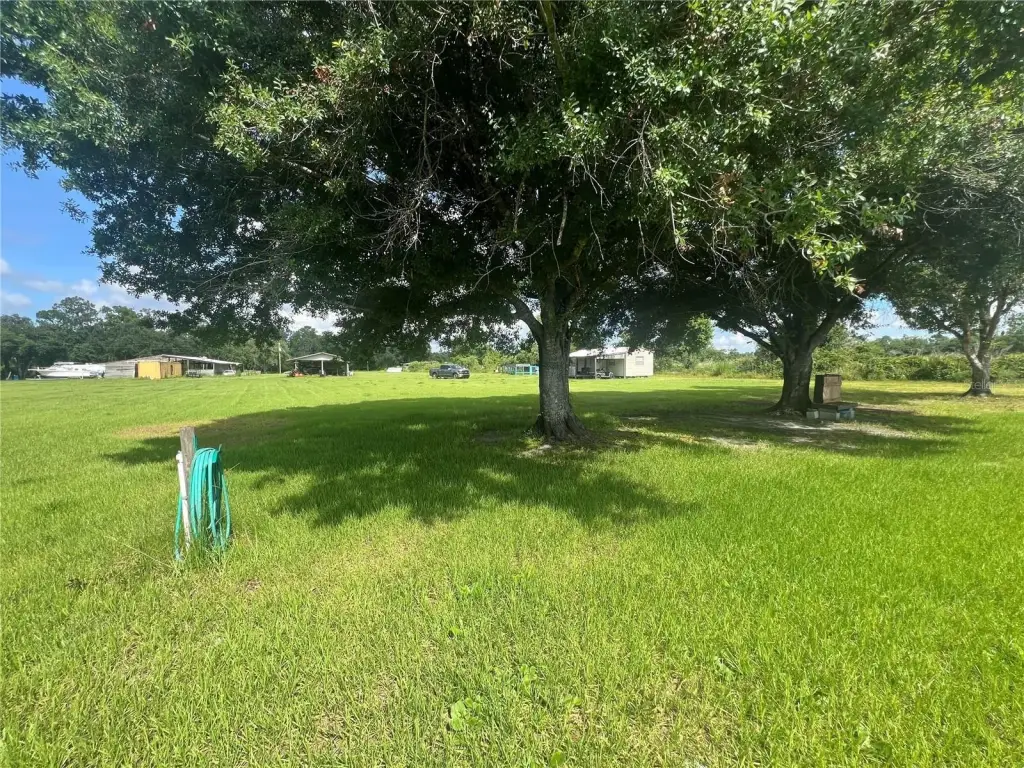 Picture 18