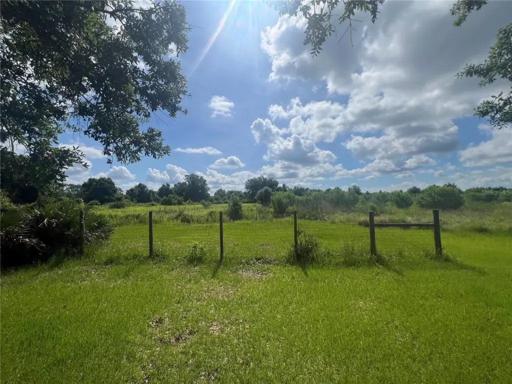 Picture 21