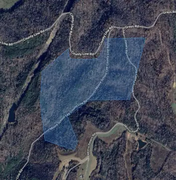 Wooded Acreage Near Booneville, KY