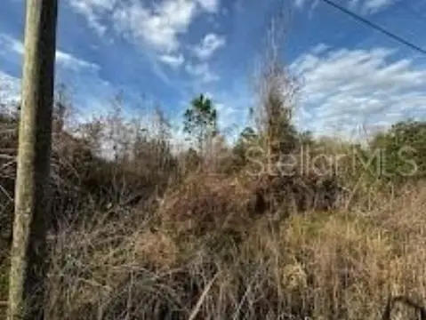 2.5 Acres in New Smyrna