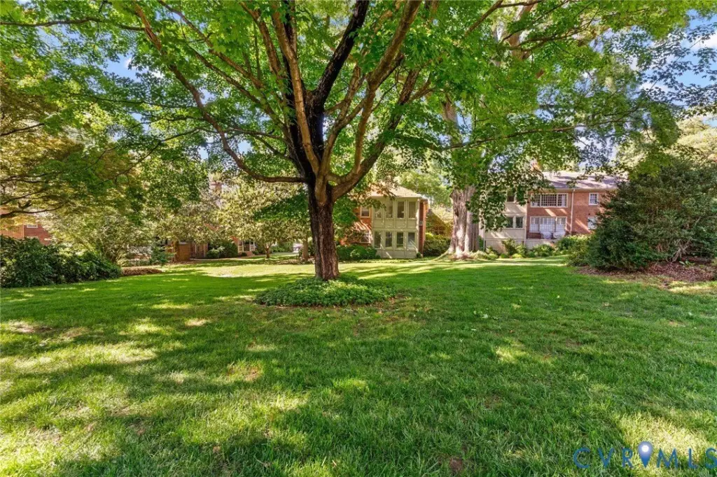 Picture 26