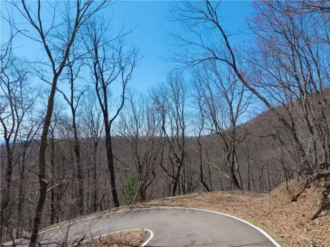 Big Canoe Mountain View Property