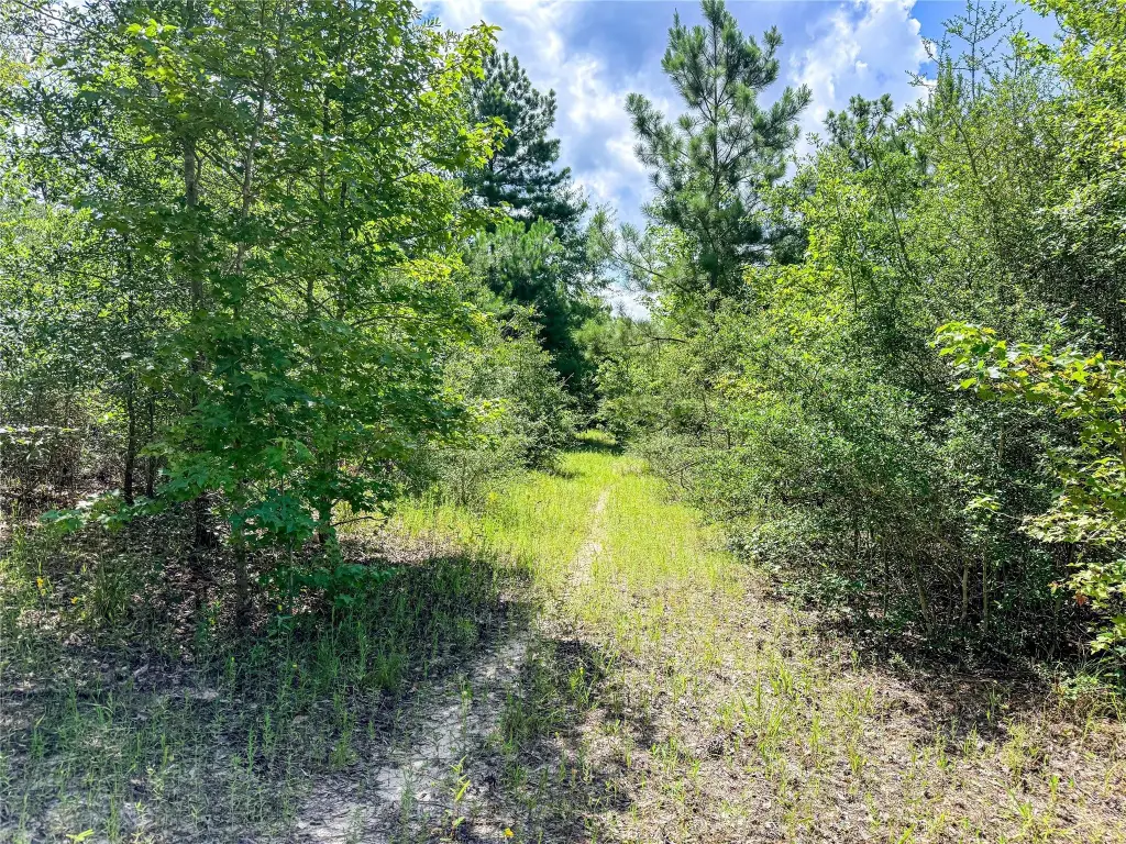 Picture 20
