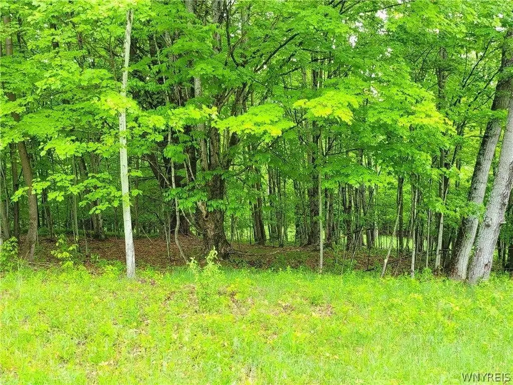 Picture 4