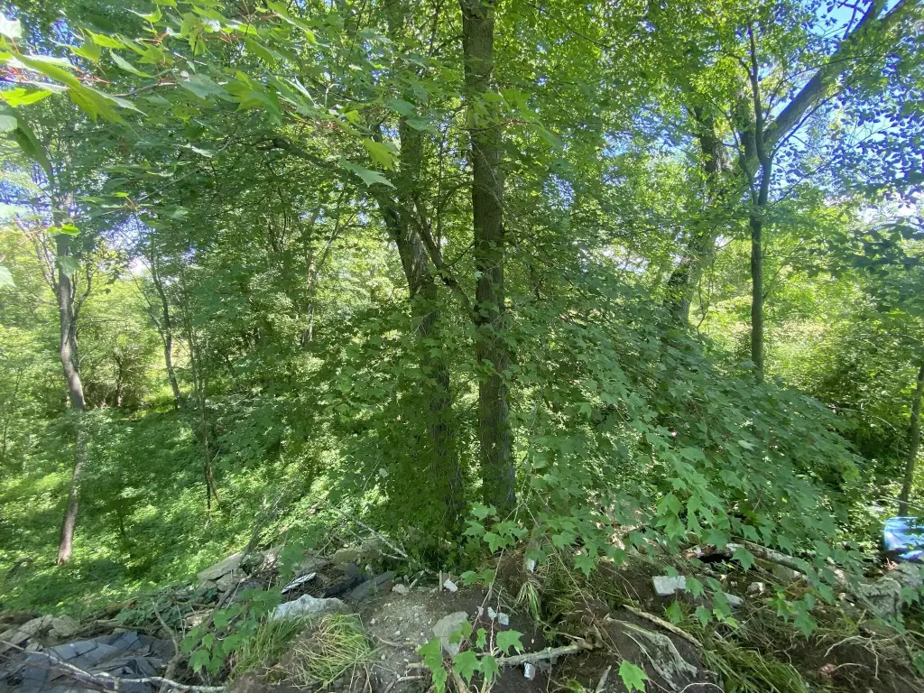 Picture 6