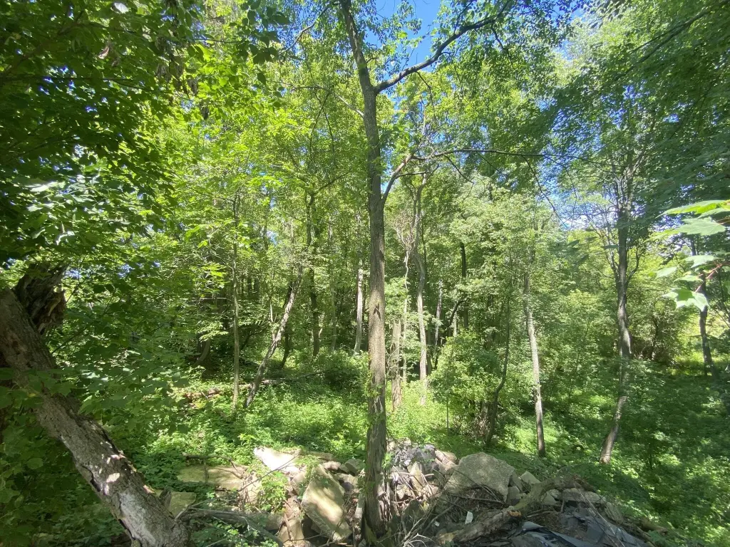 Picture 4