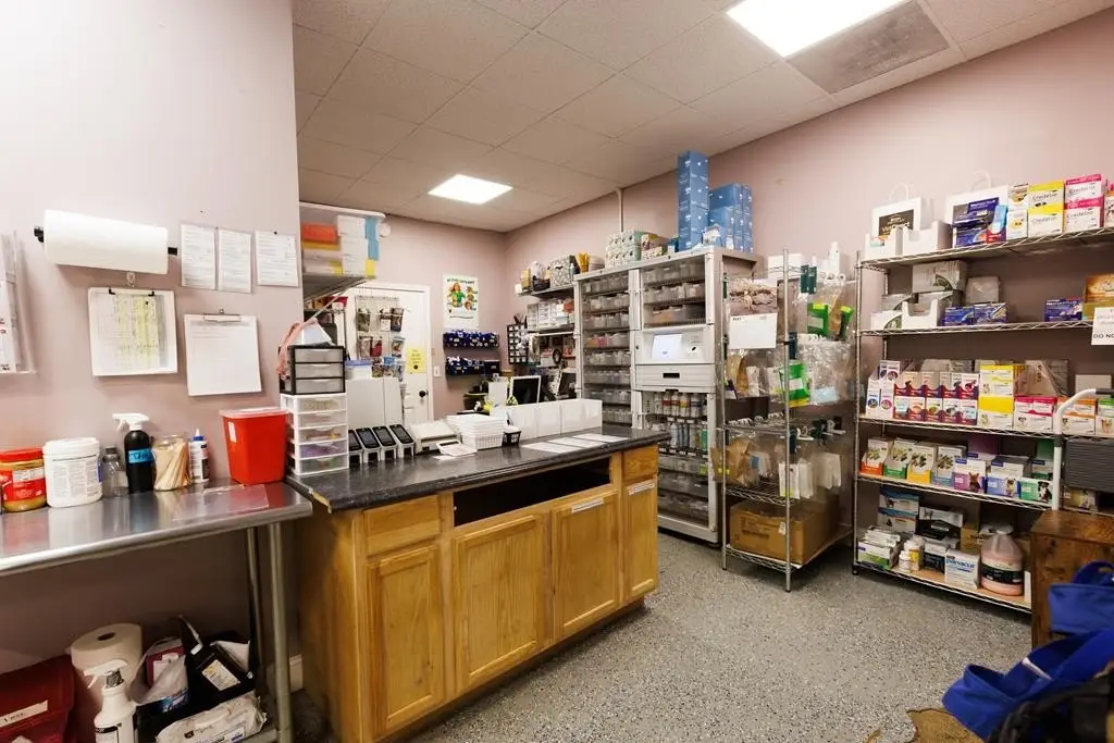 Picture 99
