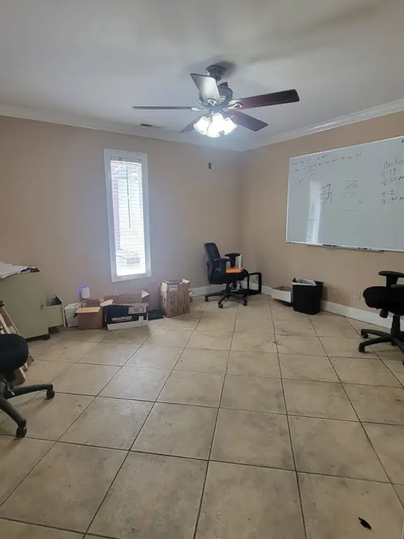 Picture 4