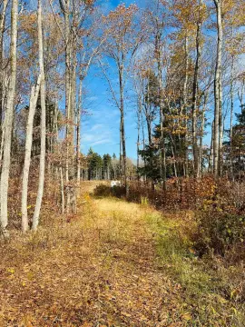 Wardsboro Land with Septic System