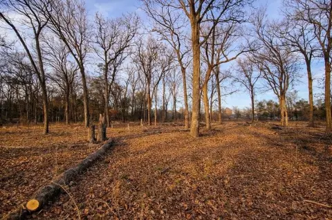Treed Land Near Lake Texoma