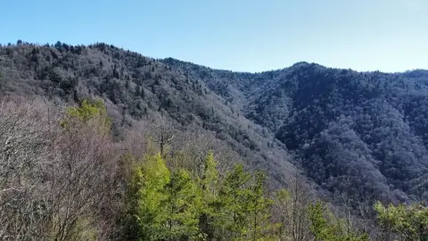 Secluded Mountain Land in Cherokee