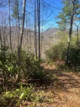 Land in Sylva, North Carolina