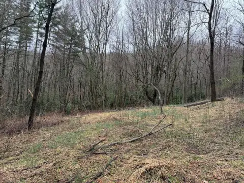 Unrestricted Land with Mountain Views